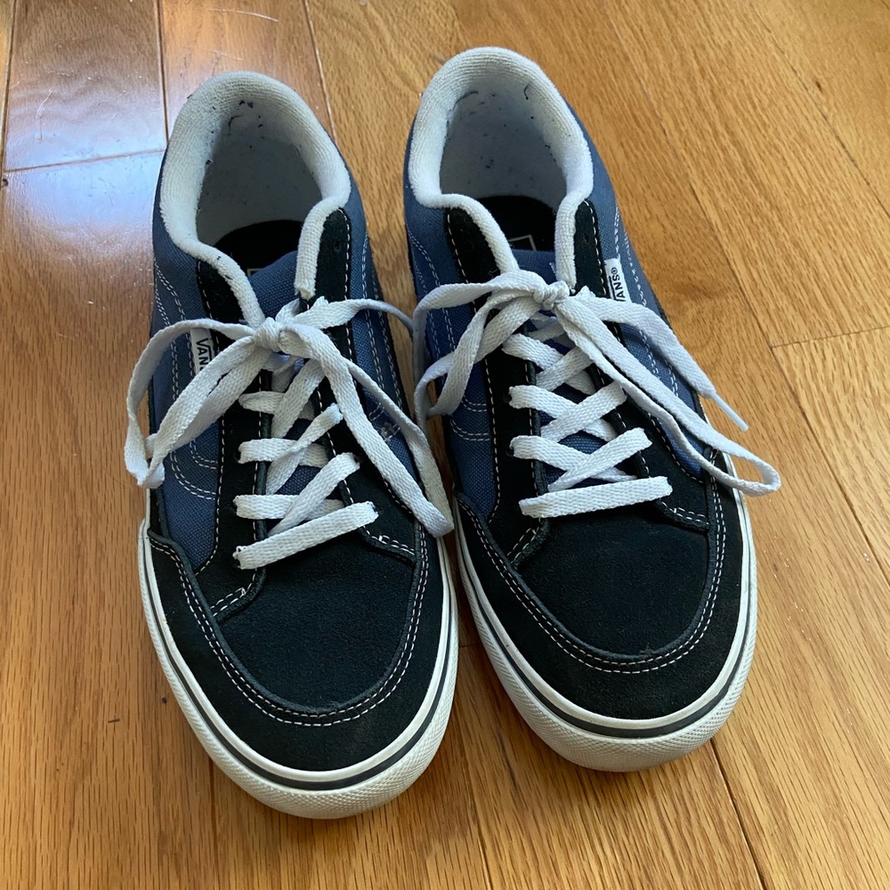 Vans Skate Sneaker